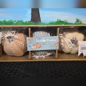 Decorative Pumpkins Set of 3